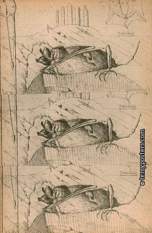 Dino Buzzati: Tatarská poušť: Světová literatura č. 3 a 4. / 1968 (Ilustrace)